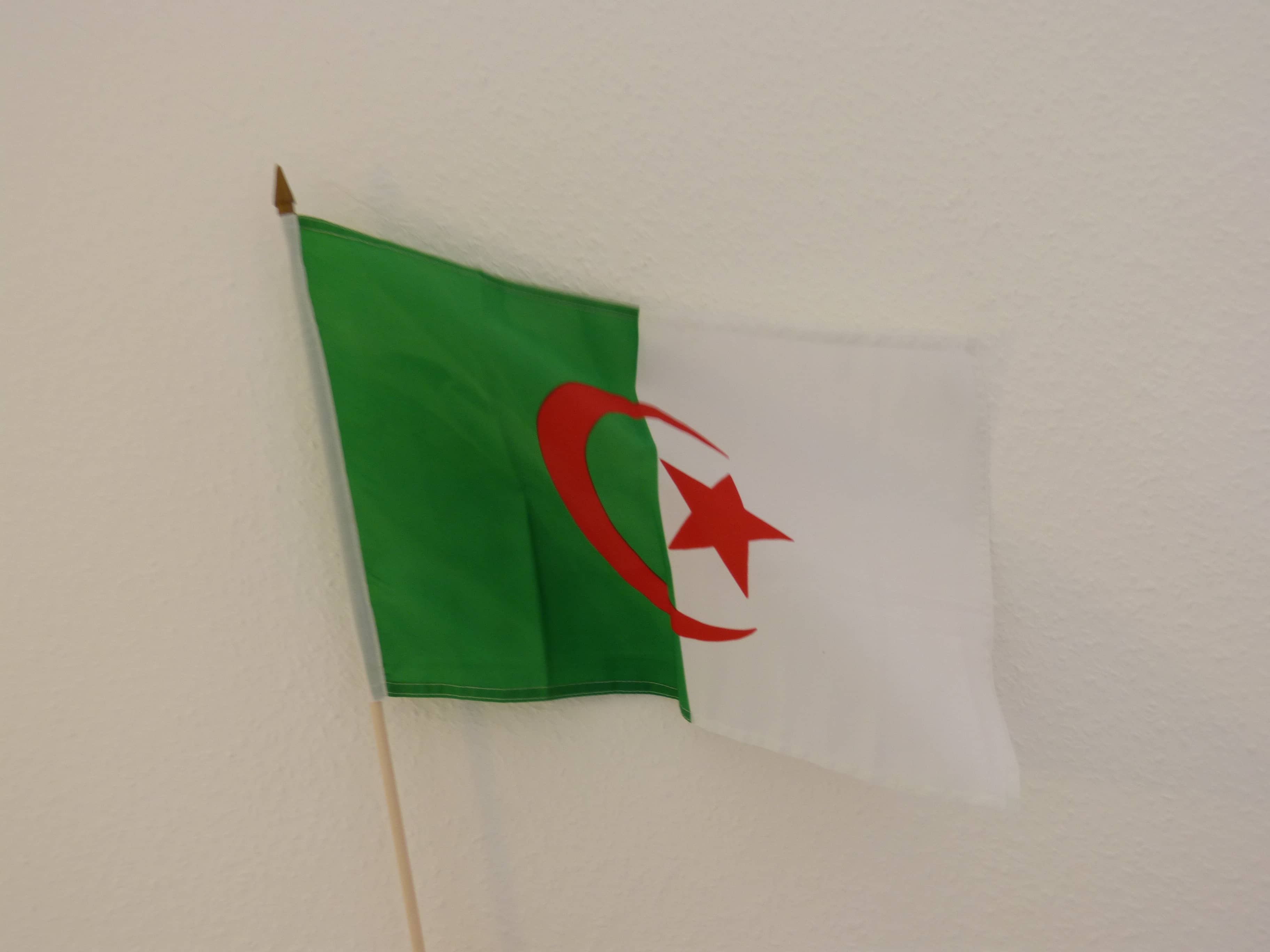 Stockfahne Algerien, 30x45 cm