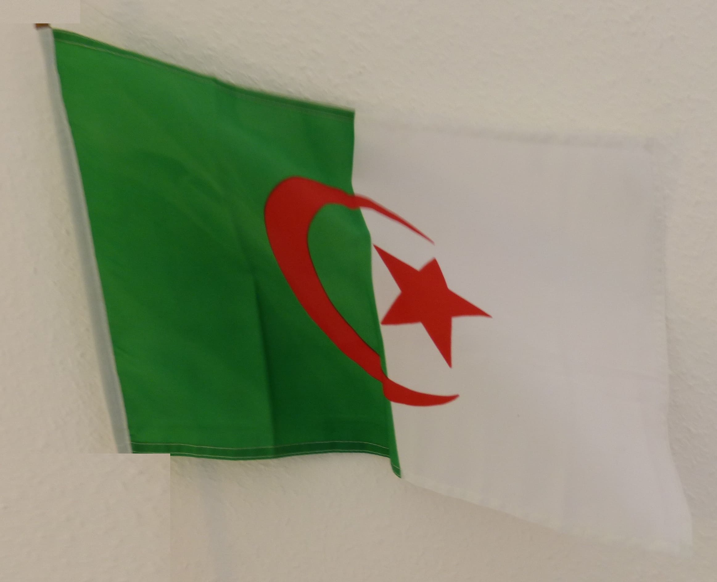 Seidenfahne Algerien 90x150 cm