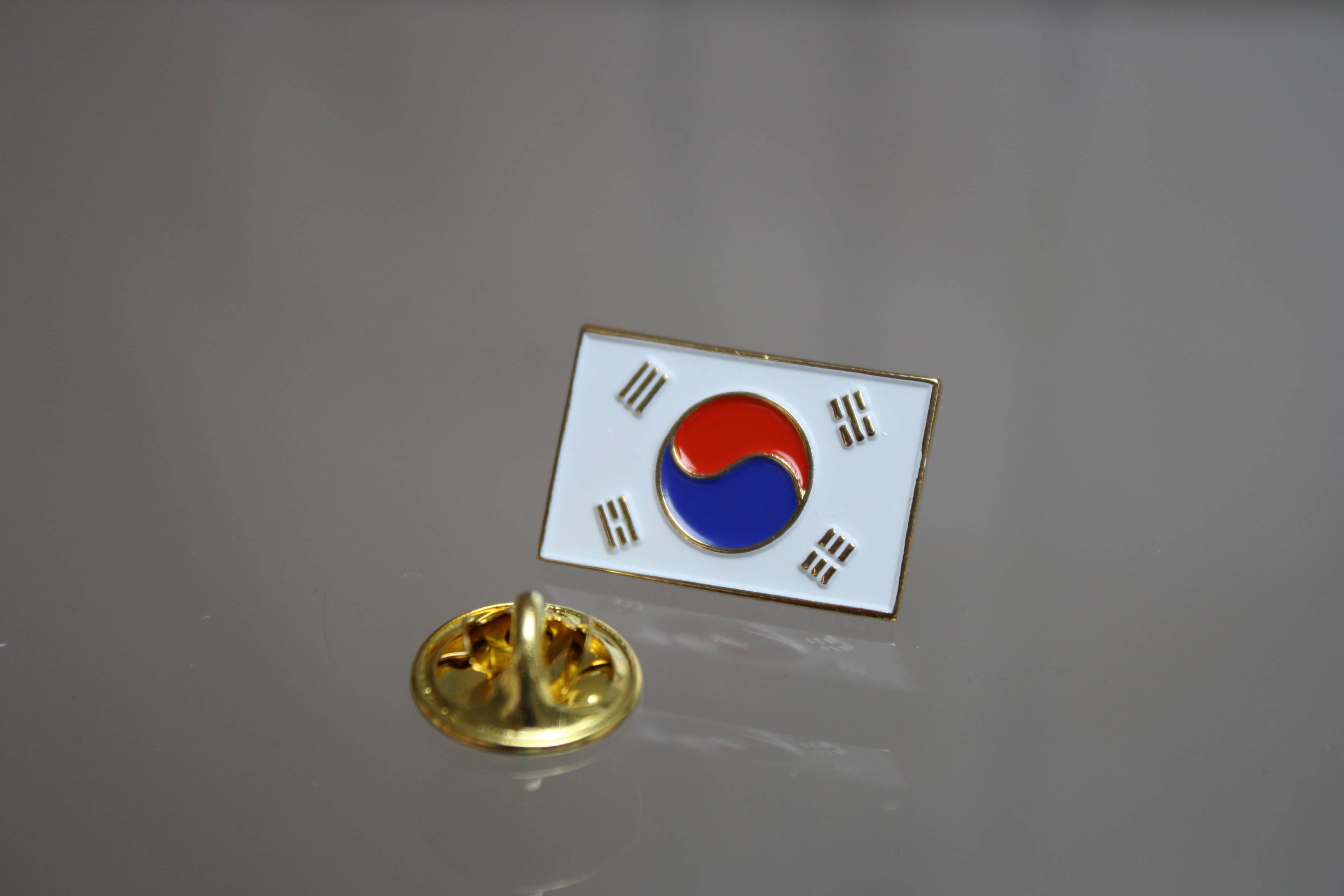 Pin Südkorea, Fahne