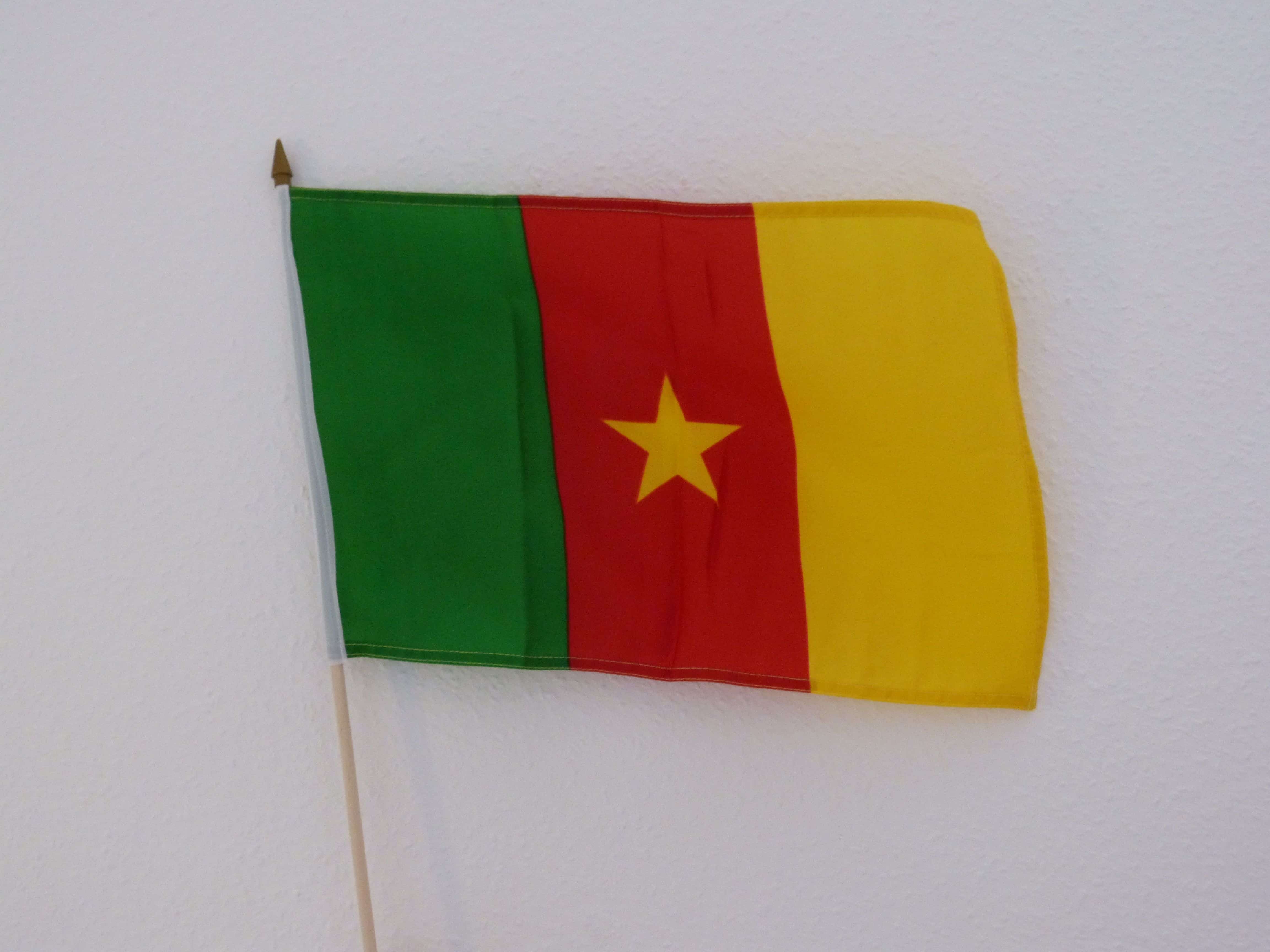 Stockfahne Kamerun, 30x45 cm