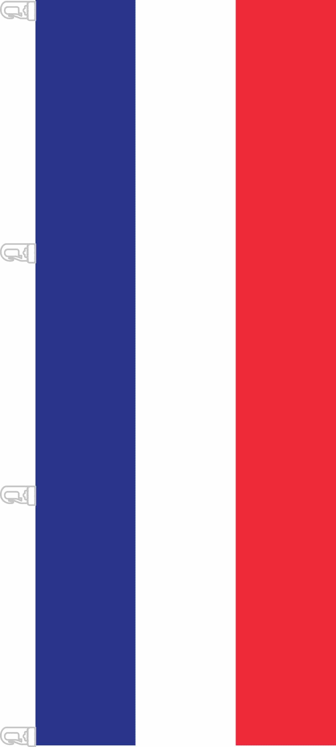 Mastfahne Frankreich, 300x120 cm, 100% Polyester