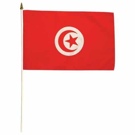 Stockfahne Tunesien, 30x45 cm